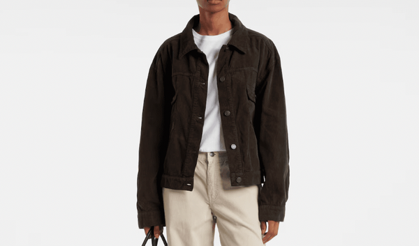 Velvet jacket "Ness Dark Coffee / Brown" The Row