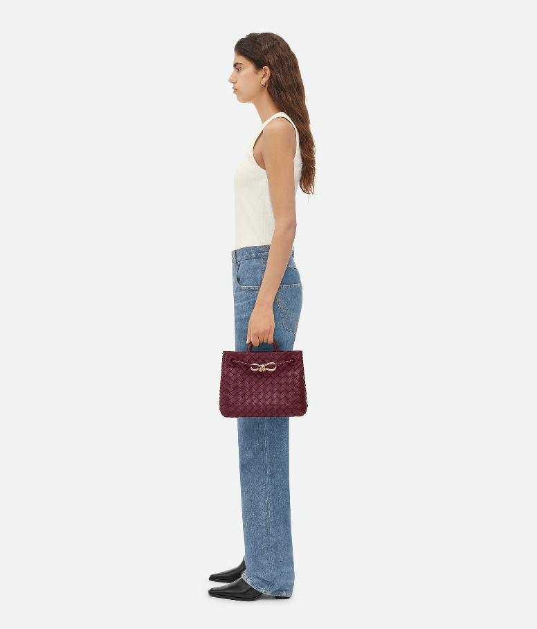 Sac "Andiamo petit format Barolo" BOTTEGA VENETA