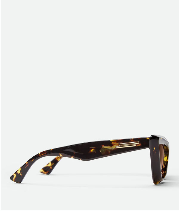 Sunglasses Sharped Cat Acetate Havana / Brown Acetate BOTTEGA VENETA