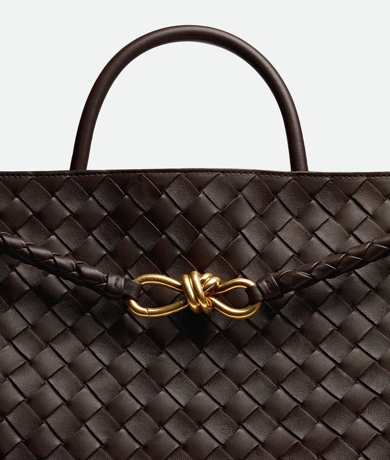 Sac "Andiamo Grand Fondant (Marron)" BOTTEGA VENETA