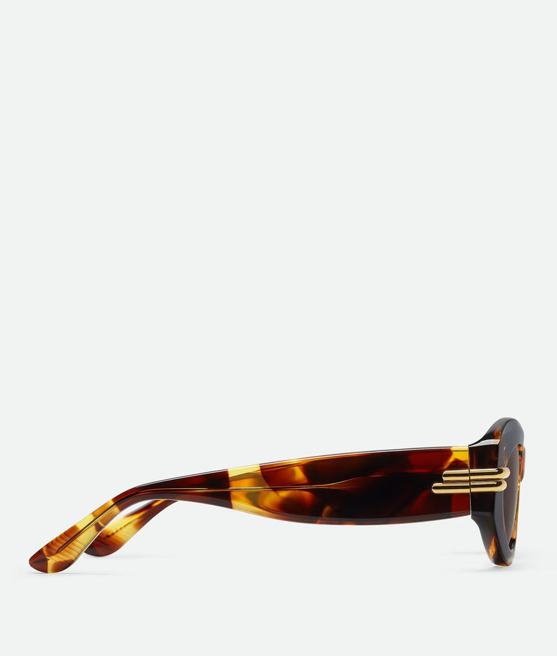 Oval Miter Havana / Brown sunglasses BOTTEGA VENETA