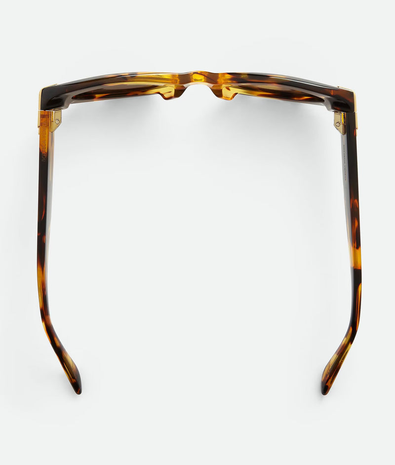 Oval Miter Havana / Brown sunglasses BOTTEGA VENETA